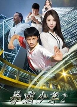 少年拳霸,热血青春，拳拳到肉的成长传奇